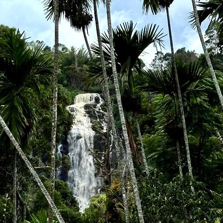 Cozy Homestay Waterfall Road Ella Eksteriør bilde