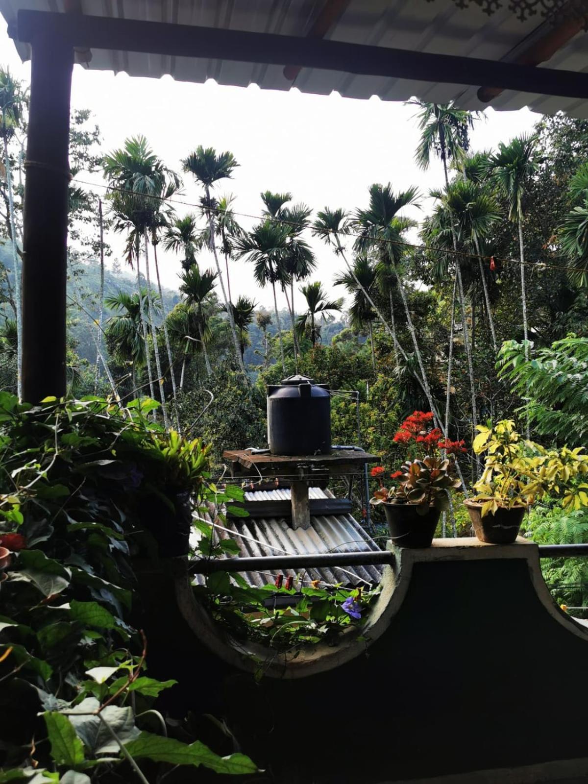 Cozy Homestay Waterfall Road Ella Eksteriør bilde