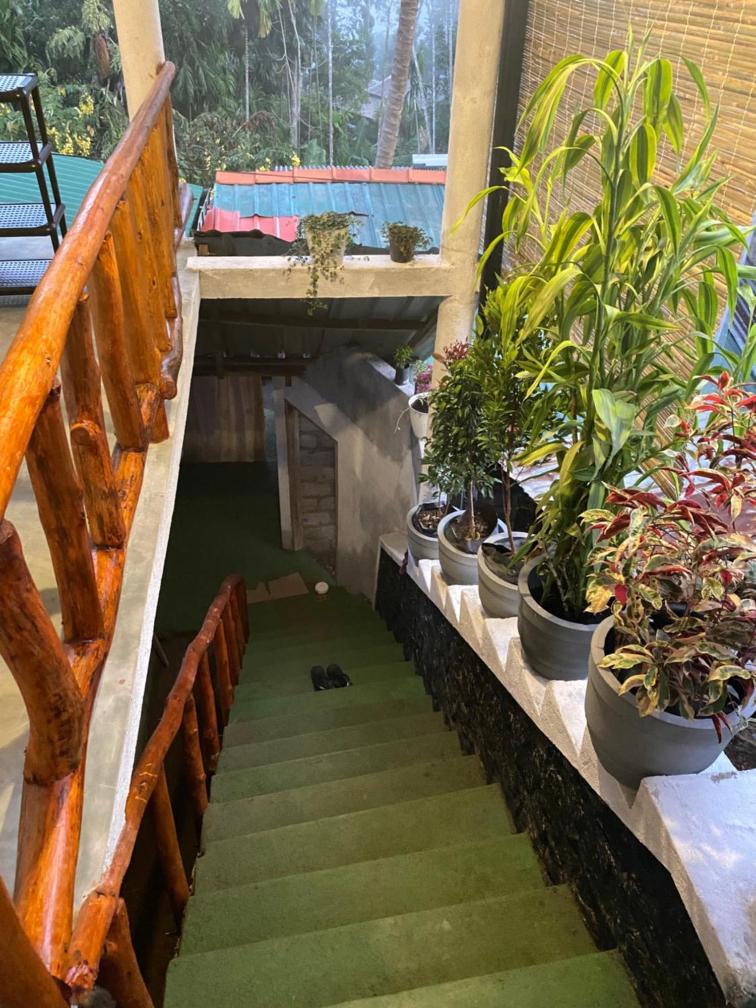 Cozy Homestay Waterfall Road Ella Eksteriør bilde