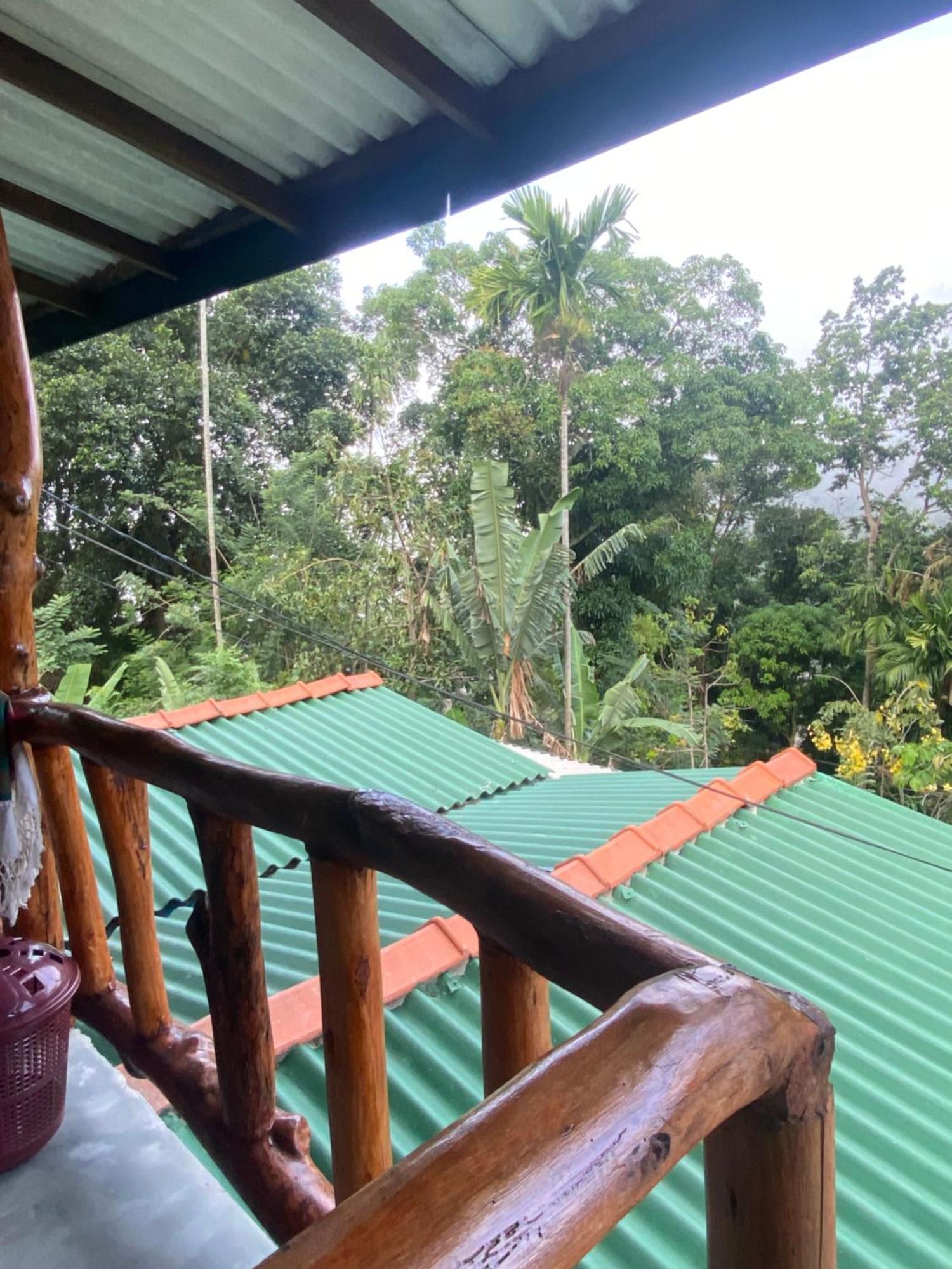 Cozy Homestay Waterfall Road Ella Eksteriør bilde