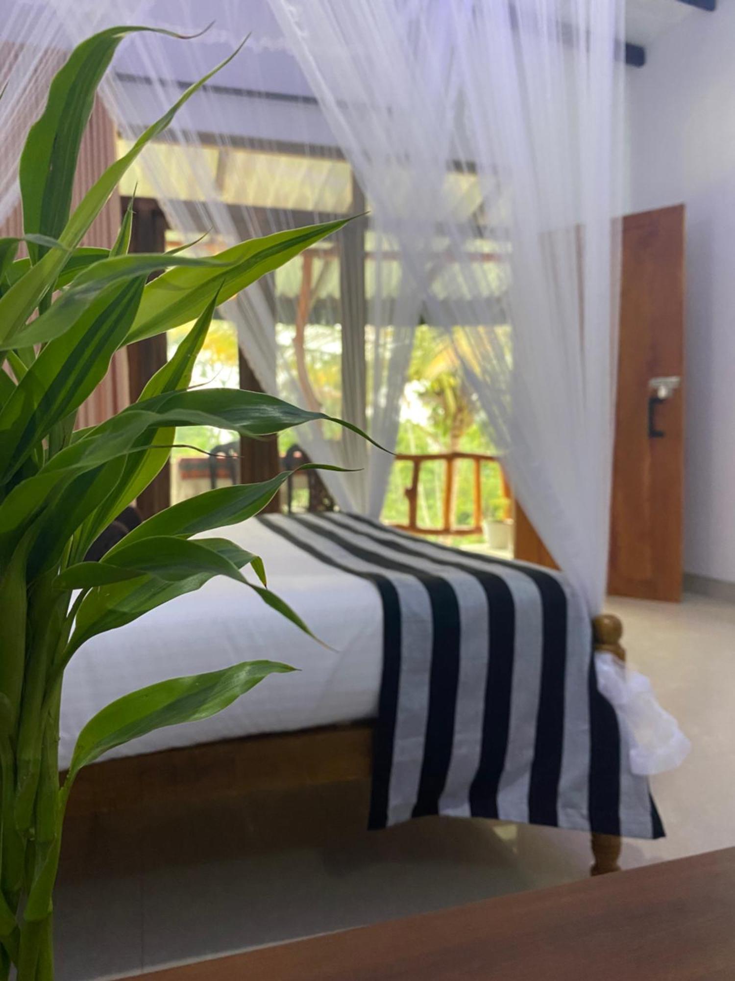 Cozy Homestay Waterfall Road Ella Eksteriør bilde