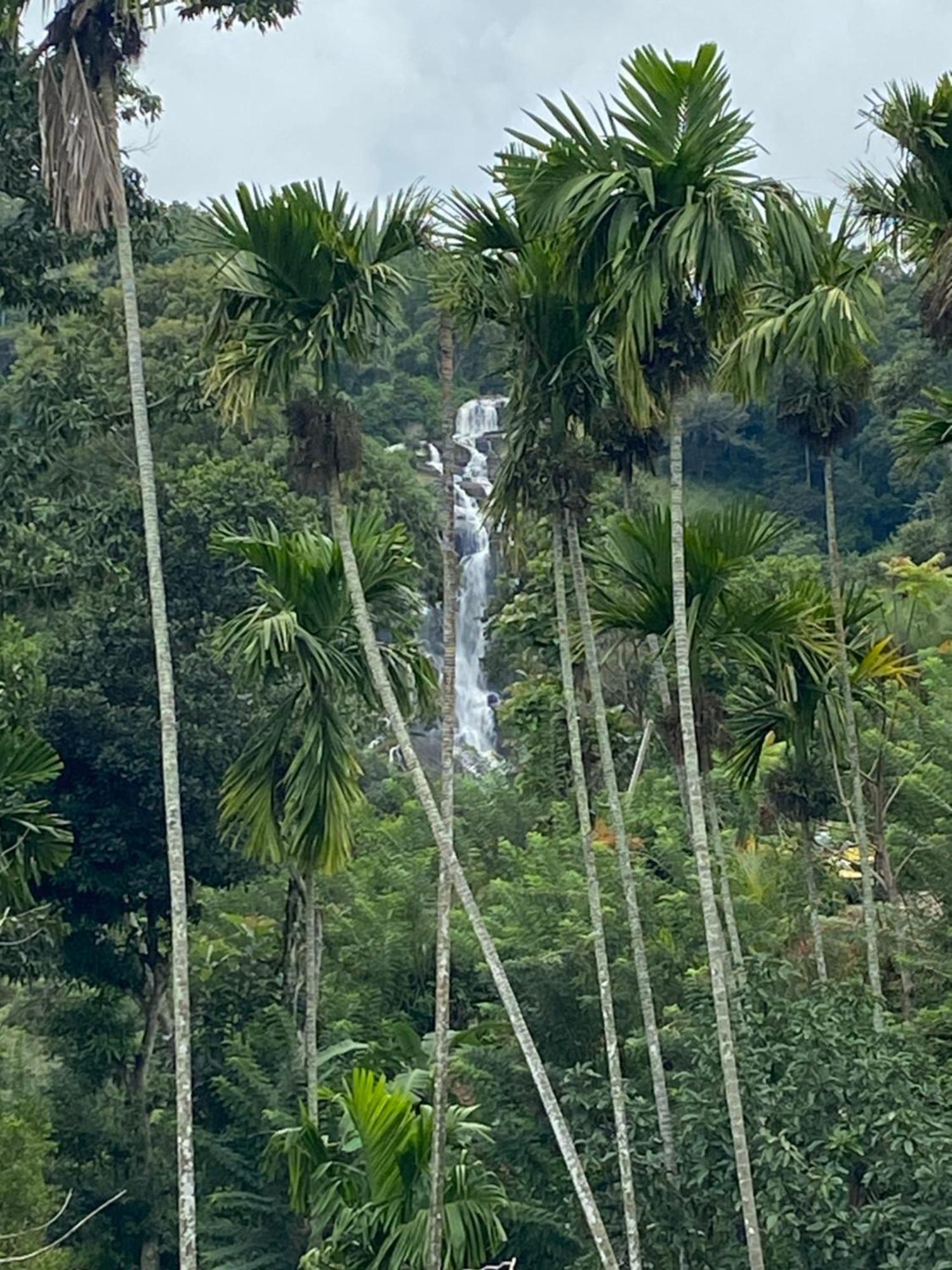 Cozy Homestay Waterfall Road Ella Eksteriør bilde