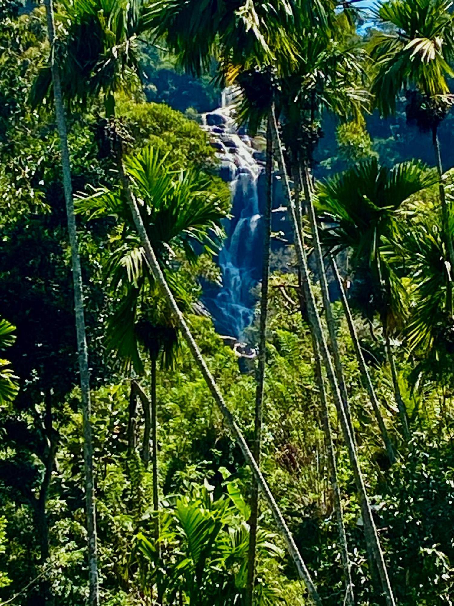Cozy Homestay Waterfall Road Ella Eksteriør bilde