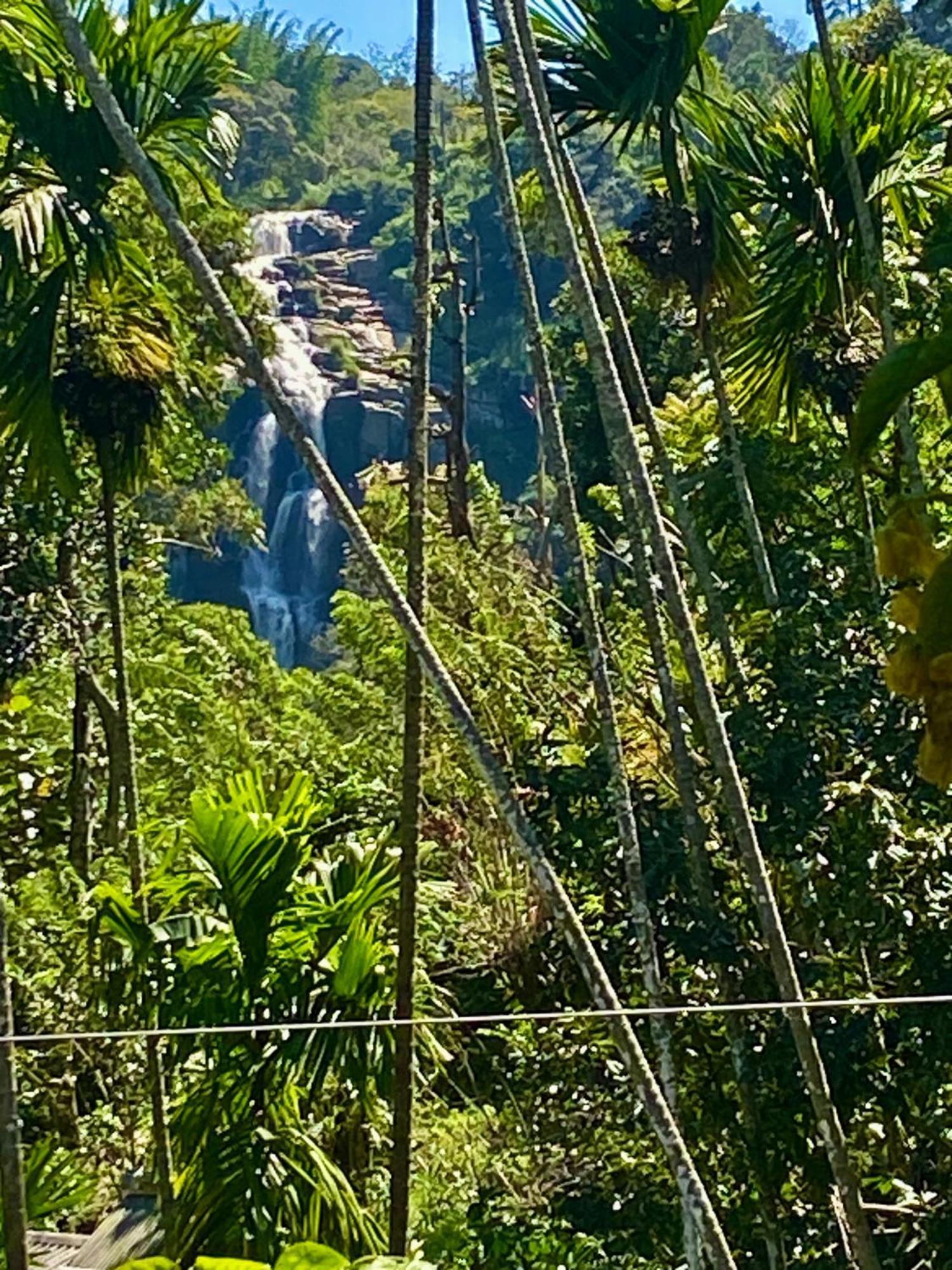 Cozy Homestay Waterfall Road Ella Eksteriør bilde