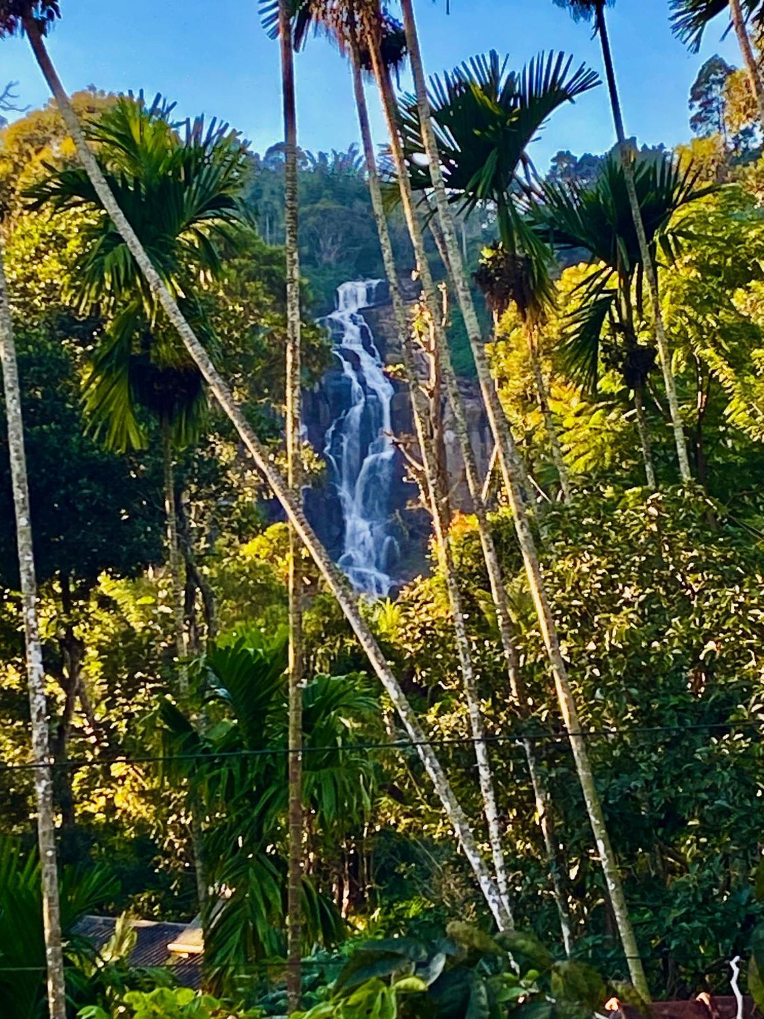 Cozy Homestay Waterfall Road Ella Eksteriør bilde