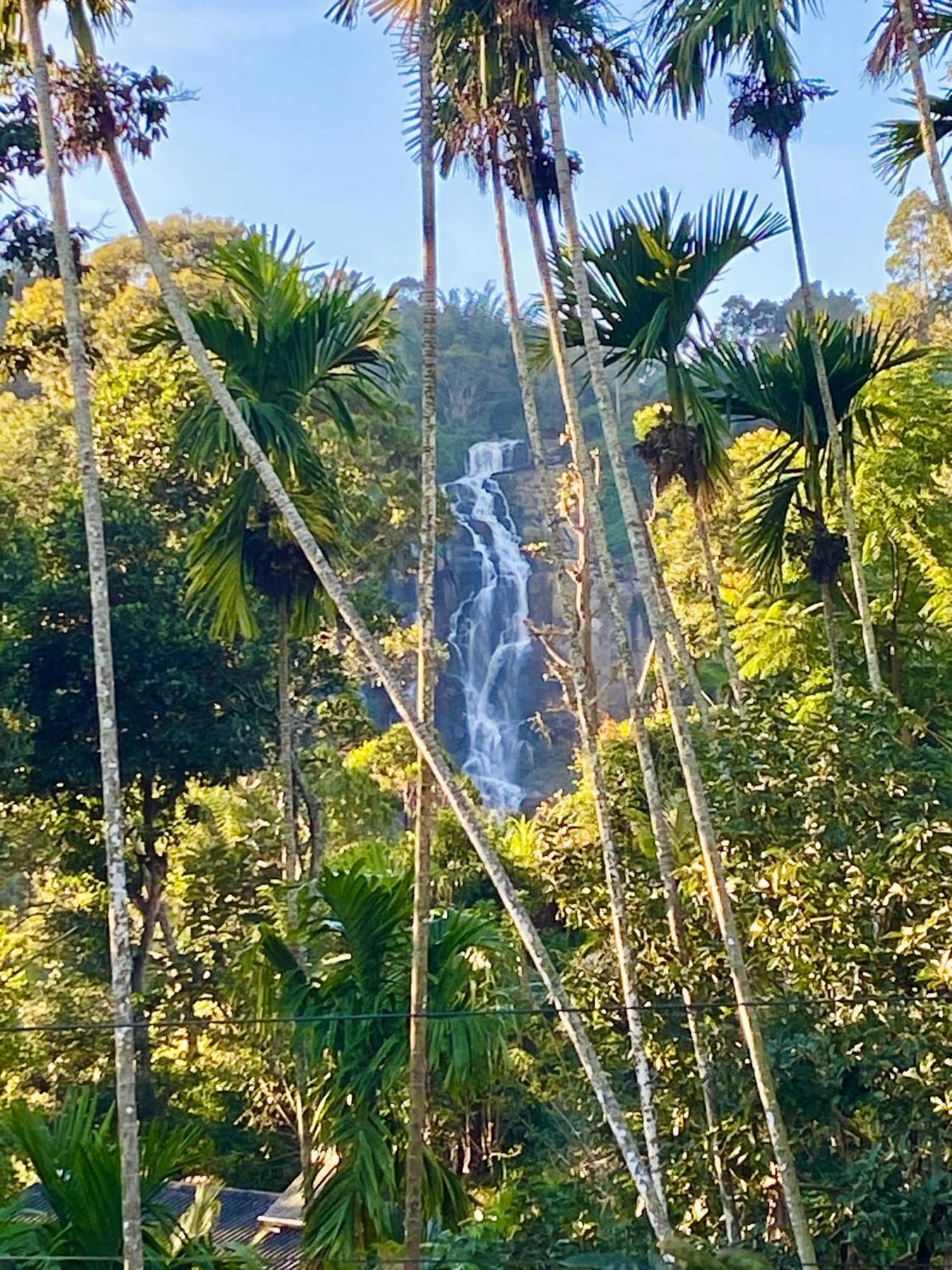 Cozy Homestay Waterfall Road Ella Eksteriør bilde