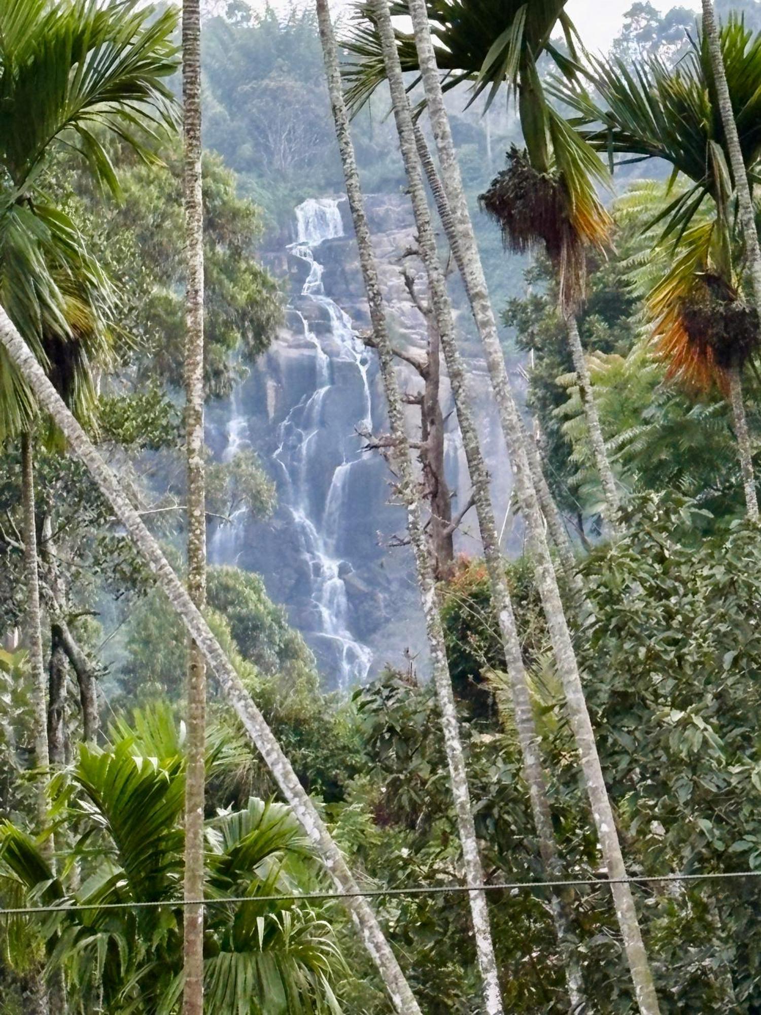 Cozy Homestay Waterfall Road Ella Eksteriør bilde