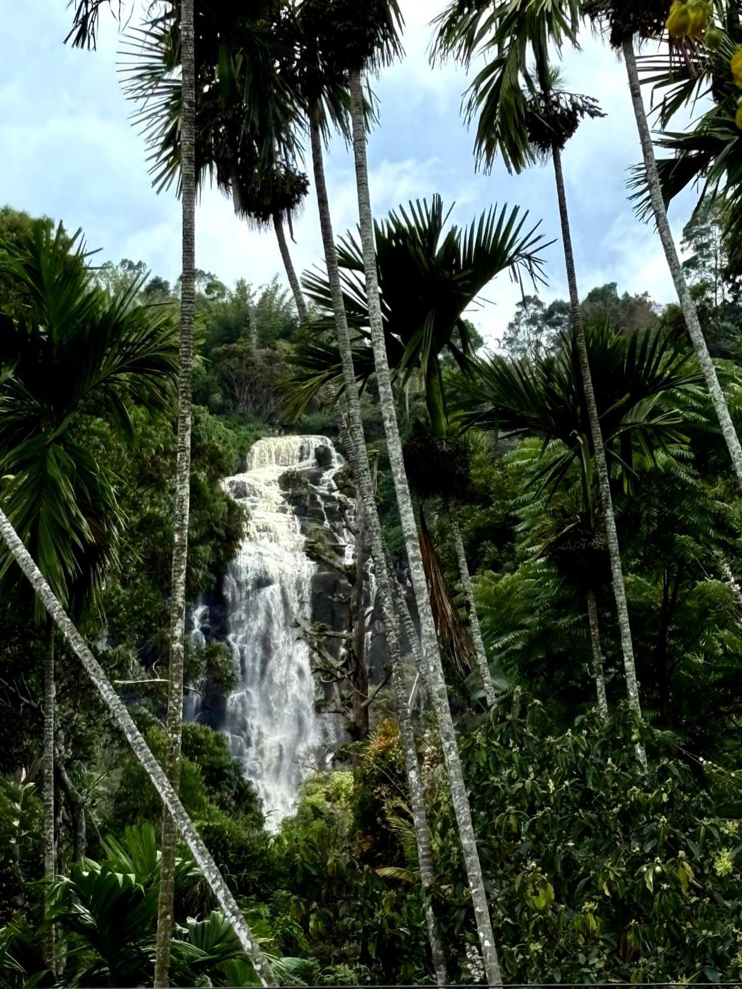 Cozy Homestay Waterfall Road Ella Eksteriør bilde